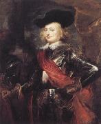 Peter Paul Rubens Cardinal-Infante Ferdinand (mk01) Germany oil painting artist